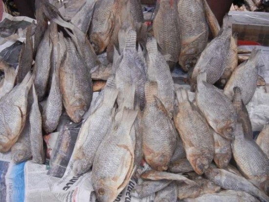 Salted fish popularly known as Koobi